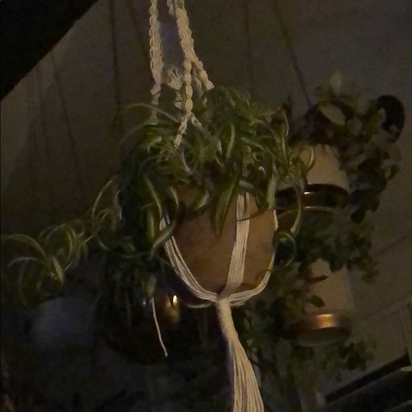 Meet your Posher, Elizabeth - Picture 1 of 1